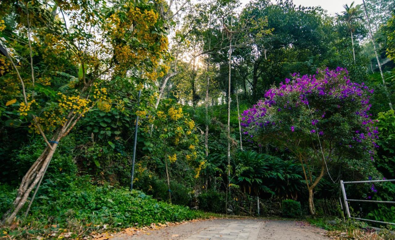 Southern Panorama Indriya Resorts & Spa Munnar Exterior photo